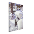 12bfcc5f-c0d6-441c-b400-2133bcea9f7f