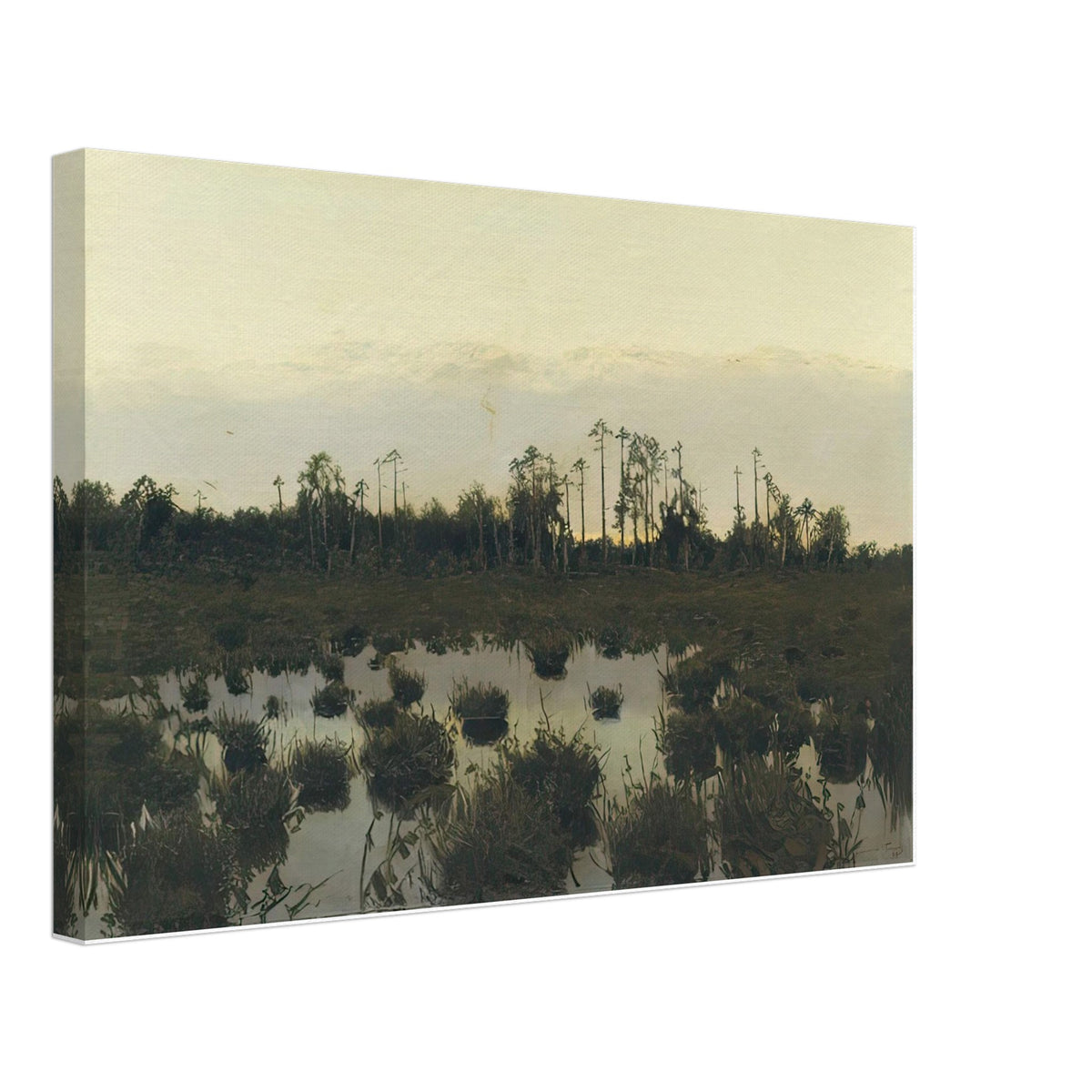 Вечер в Тундре, 1893 by Витольд Бялыницкий Бируля, canvas