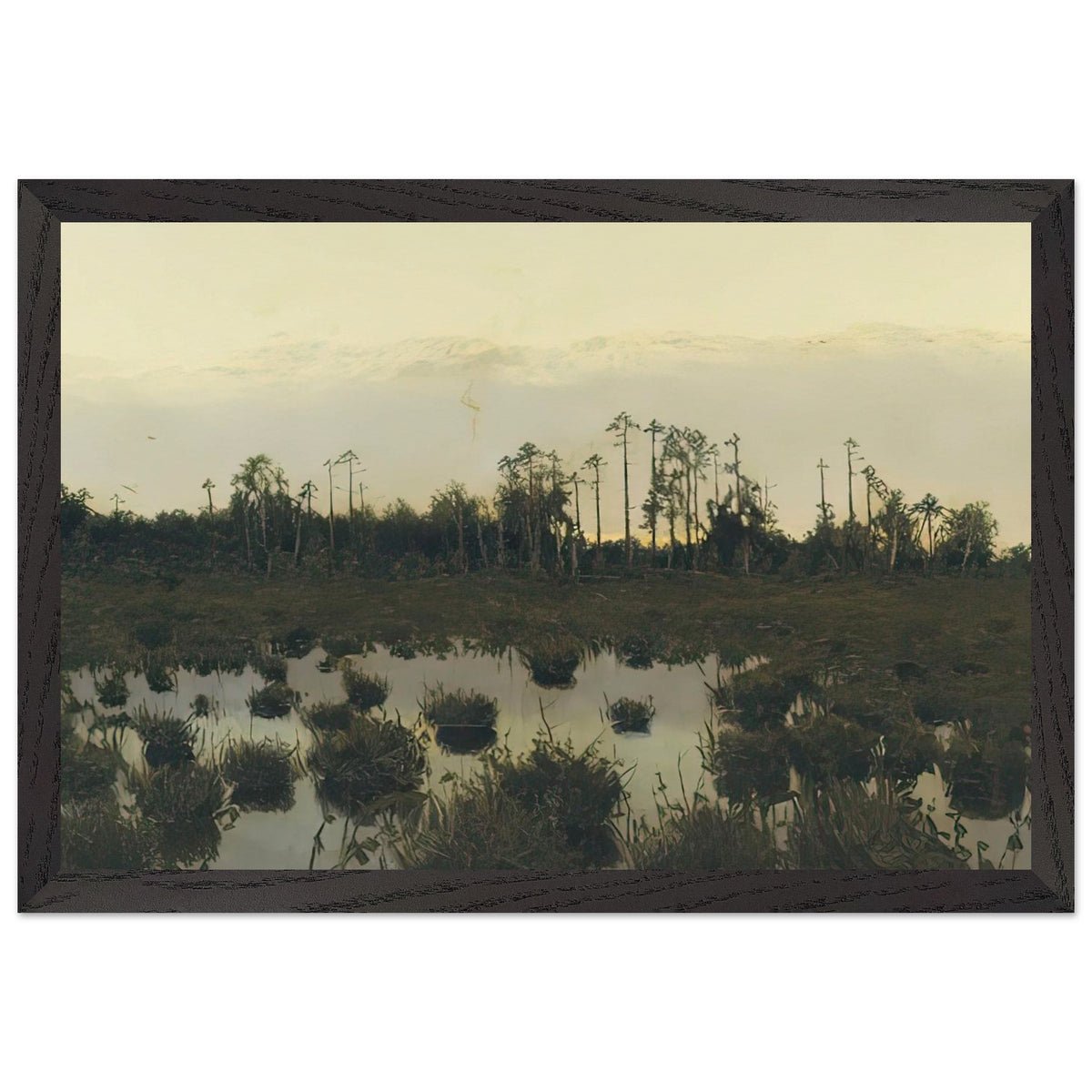 Вечер в Тундре, 1893 by Витольд Бялыницкий Бируля, framed poster, view 2