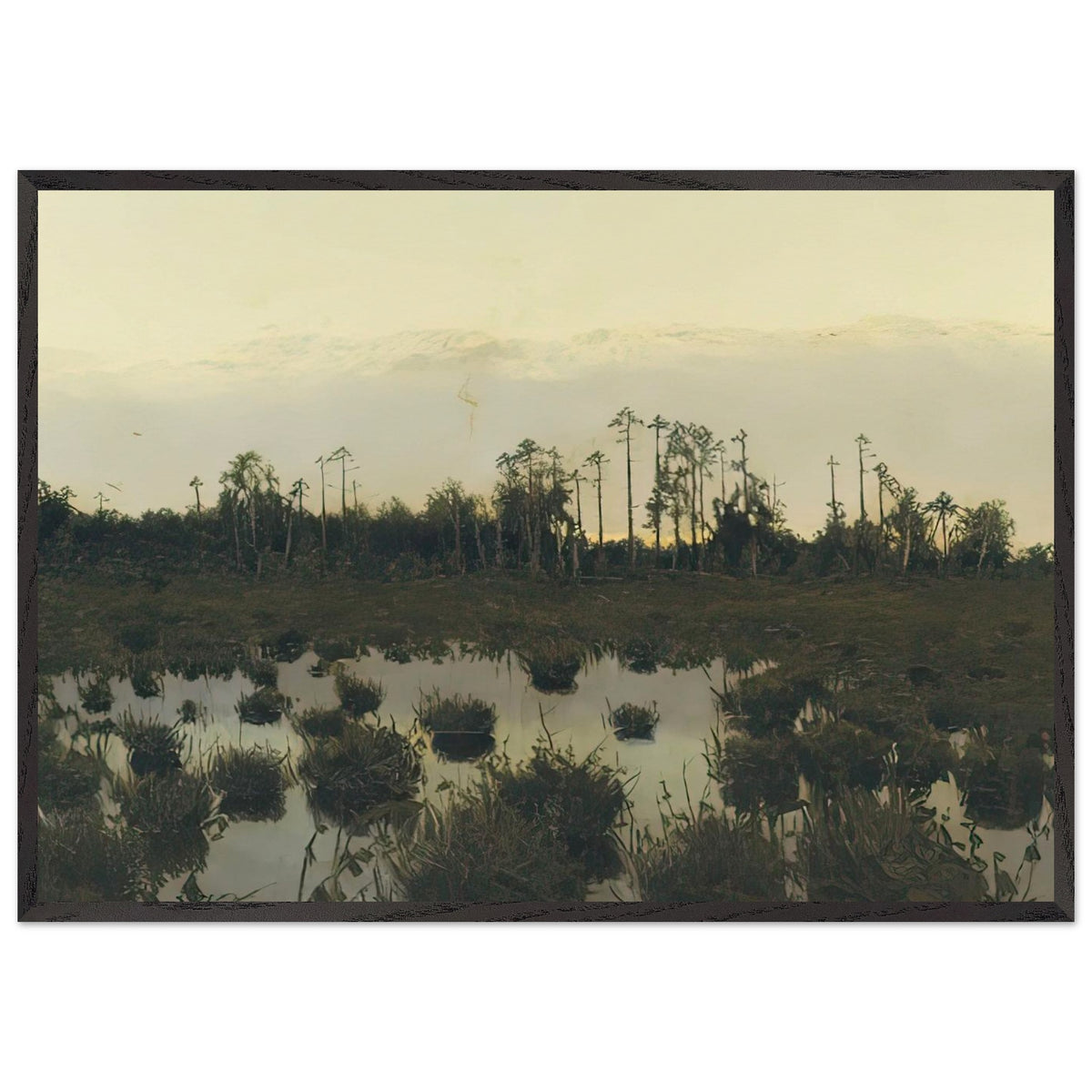 Вечер в Тундре, 1893 by Витольд Бялыницкий Бируля, framed poster, view 3