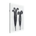 2b7561d5-b6ee-4600-8af3-aa8e2f42d21c