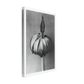 36636e48-f935-4b4a-9679-f5a445bee99d