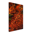4ed2ae70-b244-4ec3-a875-f19f062628b8
