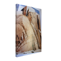 6f555278-ce16-4ffd-bf8c-b188639b898b