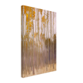 72db8f69-f568-4d81-a2e7-5bfb585652a9