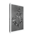 a6bf12c4-f2e4-44ad-9d84-cd729a1eef5c