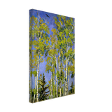 ad499951-ce65-4562-90b9-8f5a4e5b056b