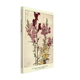 Antirrhinums (Snapdragons) by Eleanor Fortescue-Brickdale, canvas, view 2