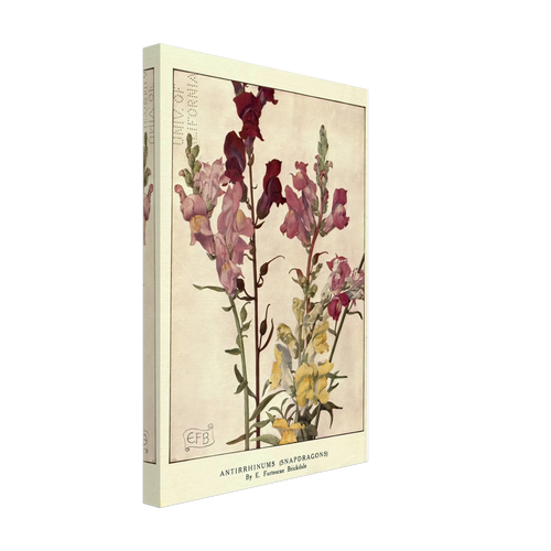 Antirrhinums (Snapdragons) by Eleanor Fortescue-Brickdale, canvas, view 2