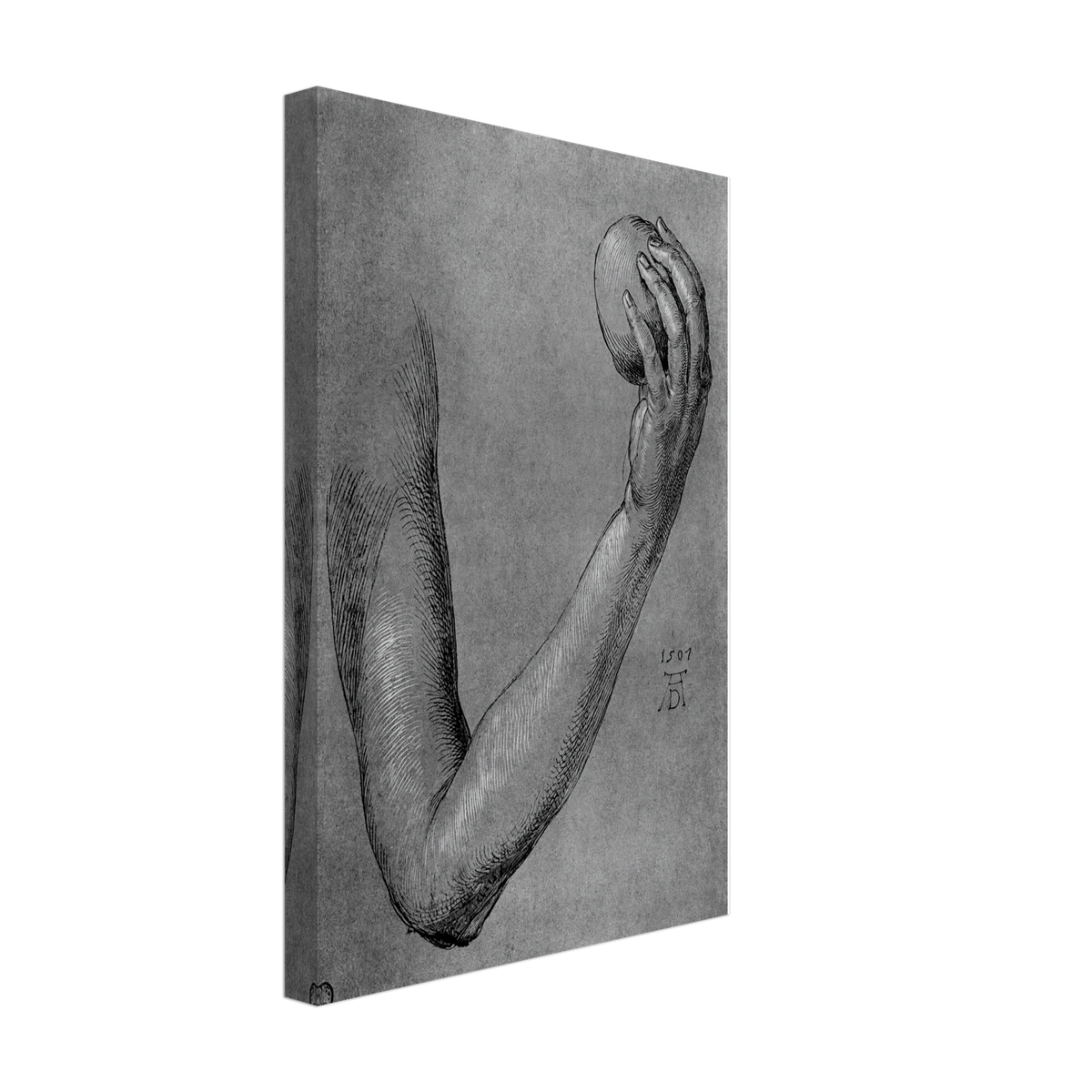 Arm of Eve by Albrecht Durer, canvas, view 2