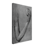 Arm of Eve by Albrecht Durer, canvas