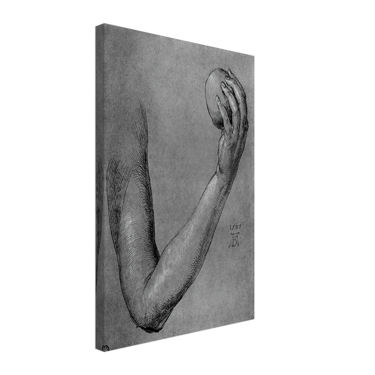 Arm of Eve by Albrecht Durer, canvas