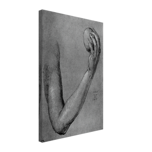 Arm of Eve by Albrecht Durer, canvas