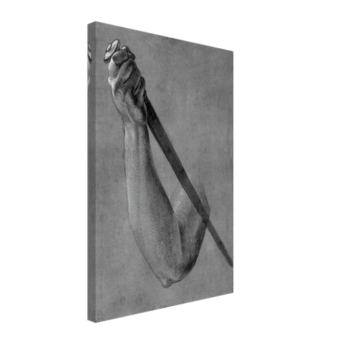 Arm of Lucretia by Albrecht Durer, canvas