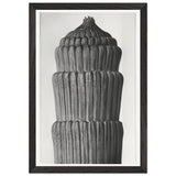 Art Forms in Nature 1 by Karl Blossfeldt, framed poster, view 2