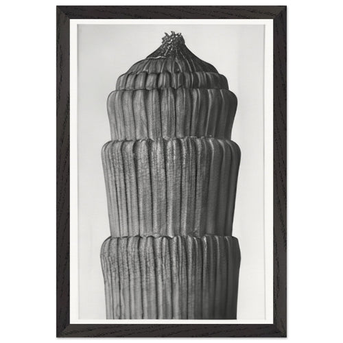 Art Forms in Nature 1 by Karl Blossfeldt, framed poster, view 2