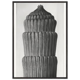 Art Forms in Nature 1 by Karl Blossfeldt, framed poster, view 3