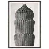 Art Forms in Nature 1 by Karl Blossfeldt, framed poster