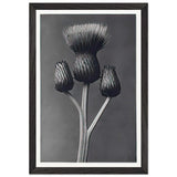 Art Forms in Nature 100 by Karl Blossfeldt, framed poster, view 2