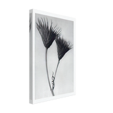 Art Forms in Nature 102 by Karl Blossfeldt, canvas, view 2