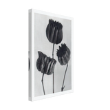 Art Forms in Nature 103 by Karl Blossfeldt, canvas, view 2