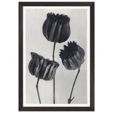 Art Forms in Nature 103 by Karl Blossfeldt, framed poster, view 2