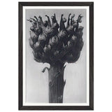 Art Forms in Nature 112 by Karl Blossfeldt, framed poster, view 2