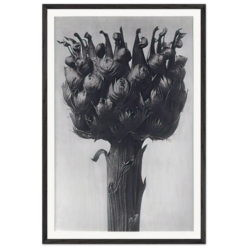 Art Forms in Nature 112 by Karl Blossfeldt, framed poster