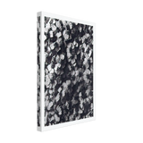 Art Forms in Nature 114 by Karl Blossfeldt, canvas, view 2