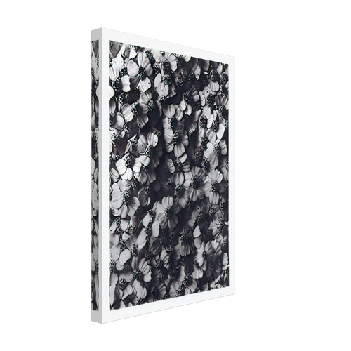 Art Forms in Nature 114 by Karl Blossfeldt, canvas, view 2