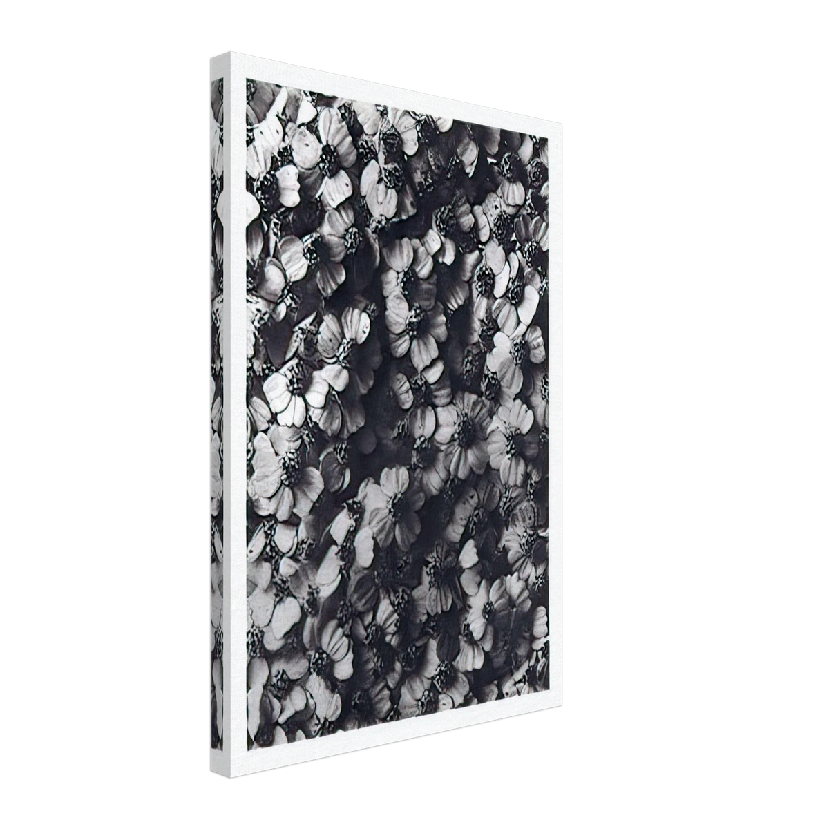 Art Forms in Nature 114 by Karl Blossfeldt, canvas