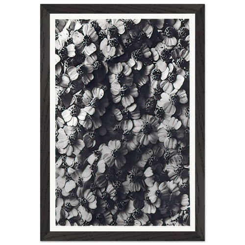Art Forms in Nature 114 by Karl Blossfeldt, framed poster, view 2