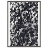 Art Forms in Nature 114 by Karl Blossfeldt, framed poster, view 3