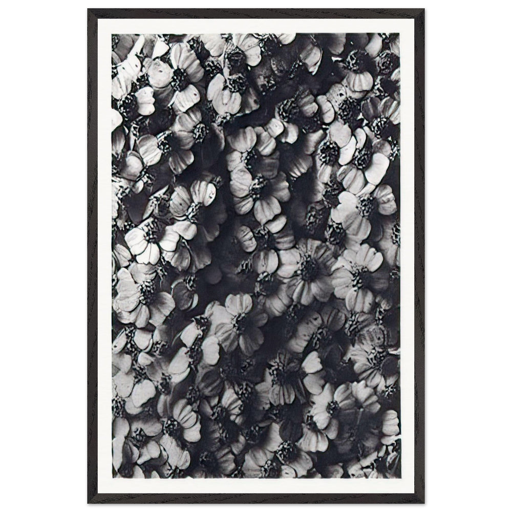 Art Forms in Nature 114 by Karl Blossfeldt, framed poster