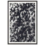 Art Forms in Nature 114 by Karl Blossfeldt, framed poster