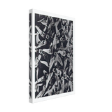 Art Forms in Nature 116 by Karl Blossfeldt, canvas, view 2