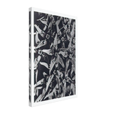 Art Forms in Nature 116 by Karl Blossfeldt, canvas