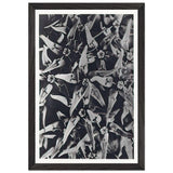 Art Forms in Nature 116 by Karl Blossfeldt, framed poster, view 2