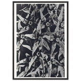 Art Forms in Nature 116 by Karl Blossfeldt, framed poster, view 3