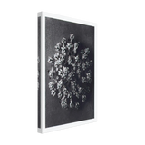 Art Forms in Nature 117 by Karl Blossfeldt, canvas, view 2