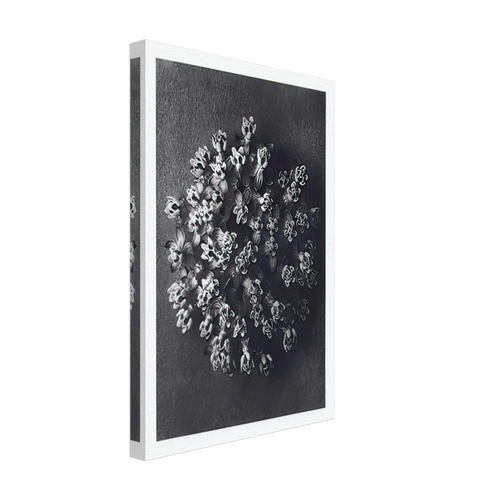 Art Forms in Nature 117 by Karl Blossfeldt, canvas, view 2