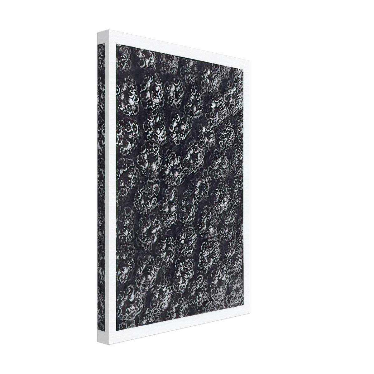 Art Forms in Nature 118 by Karl Blossfeldt, canvas, view 2