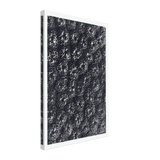 Art Forms in Nature 118 by Karl Blossfeldt, canvas