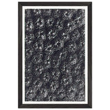 Art Forms in Nature 118 by Karl Blossfeldt, framed poster, view 2
