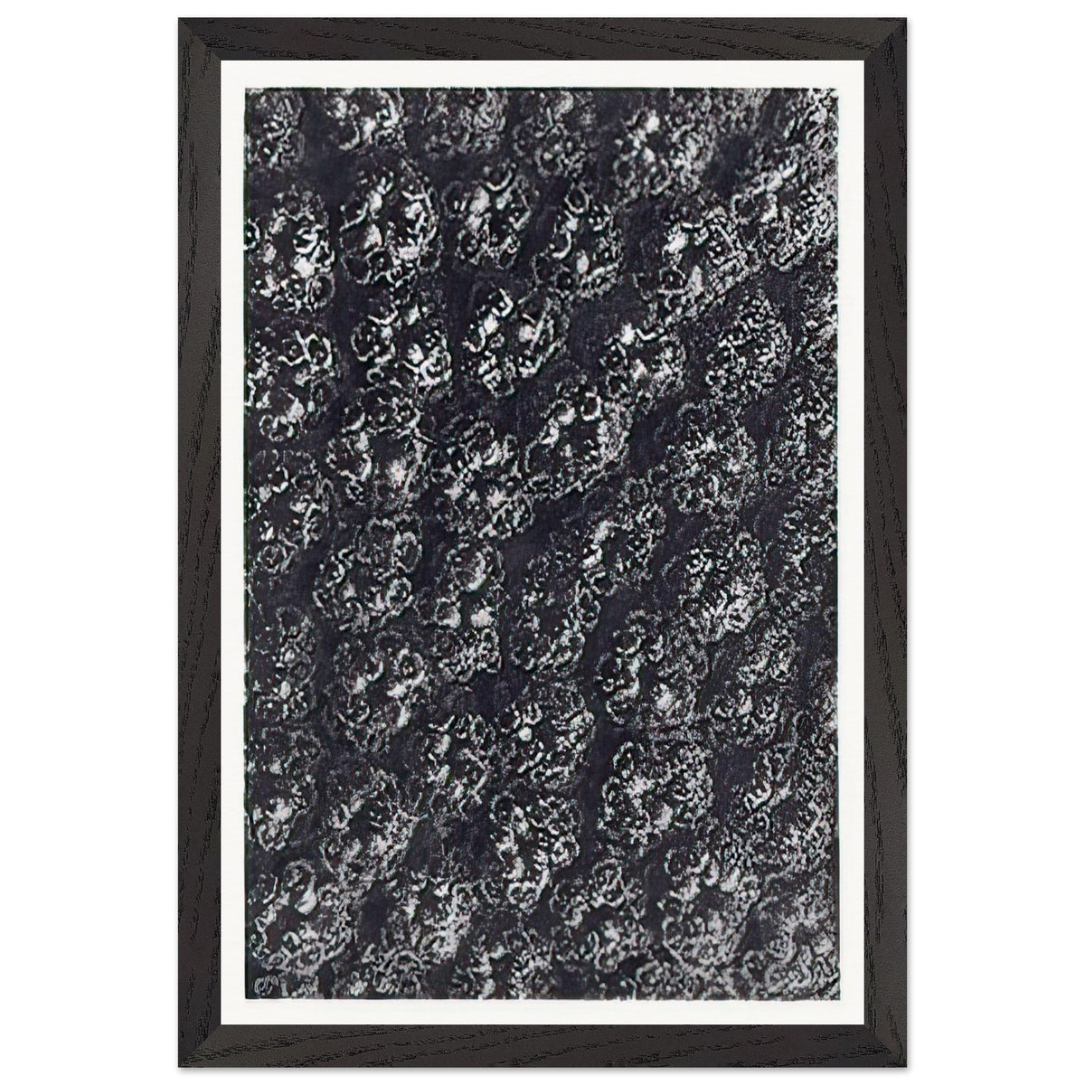 Art Forms in Nature 118 by Karl Blossfeldt, framed poster, view 2
