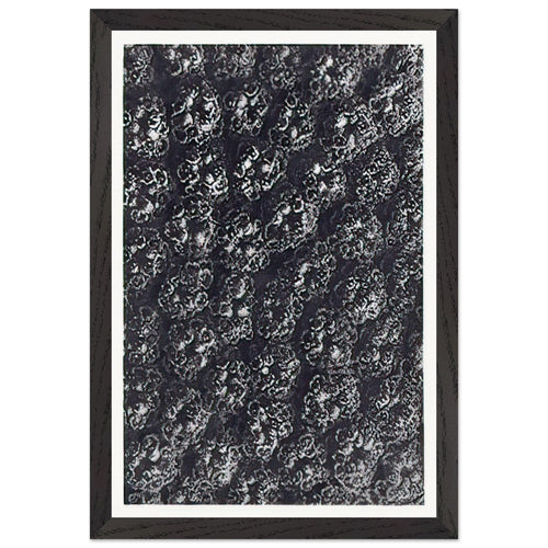 Art Forms in Nature 118 by Karl Blossfeldt, framed poster, view 2