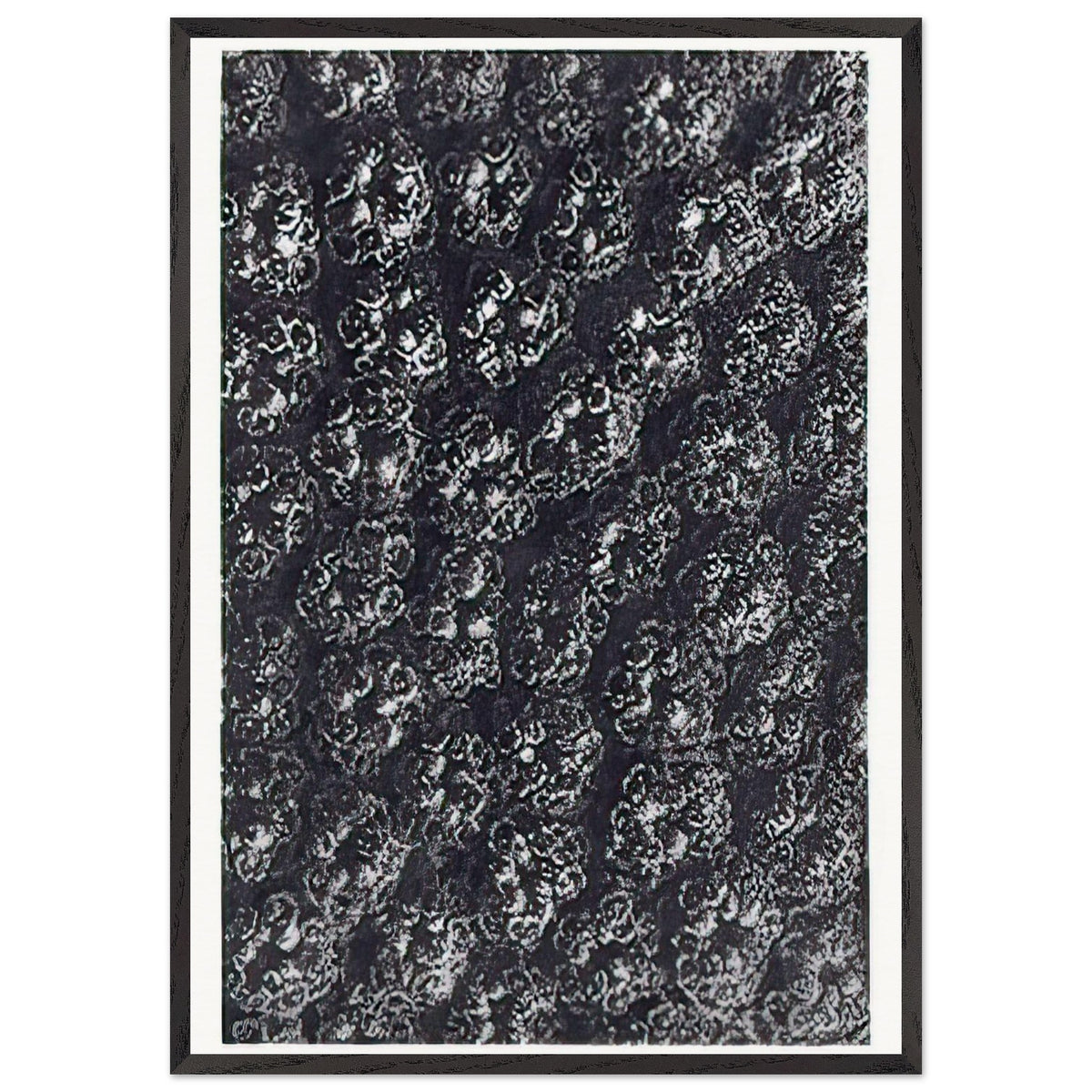 Art Forms in Nature 118 by Karl Blossfeldt, framed poster, view 3