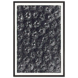 Art Forms in Nature 118 by Karl Blossfeldt, framed poster