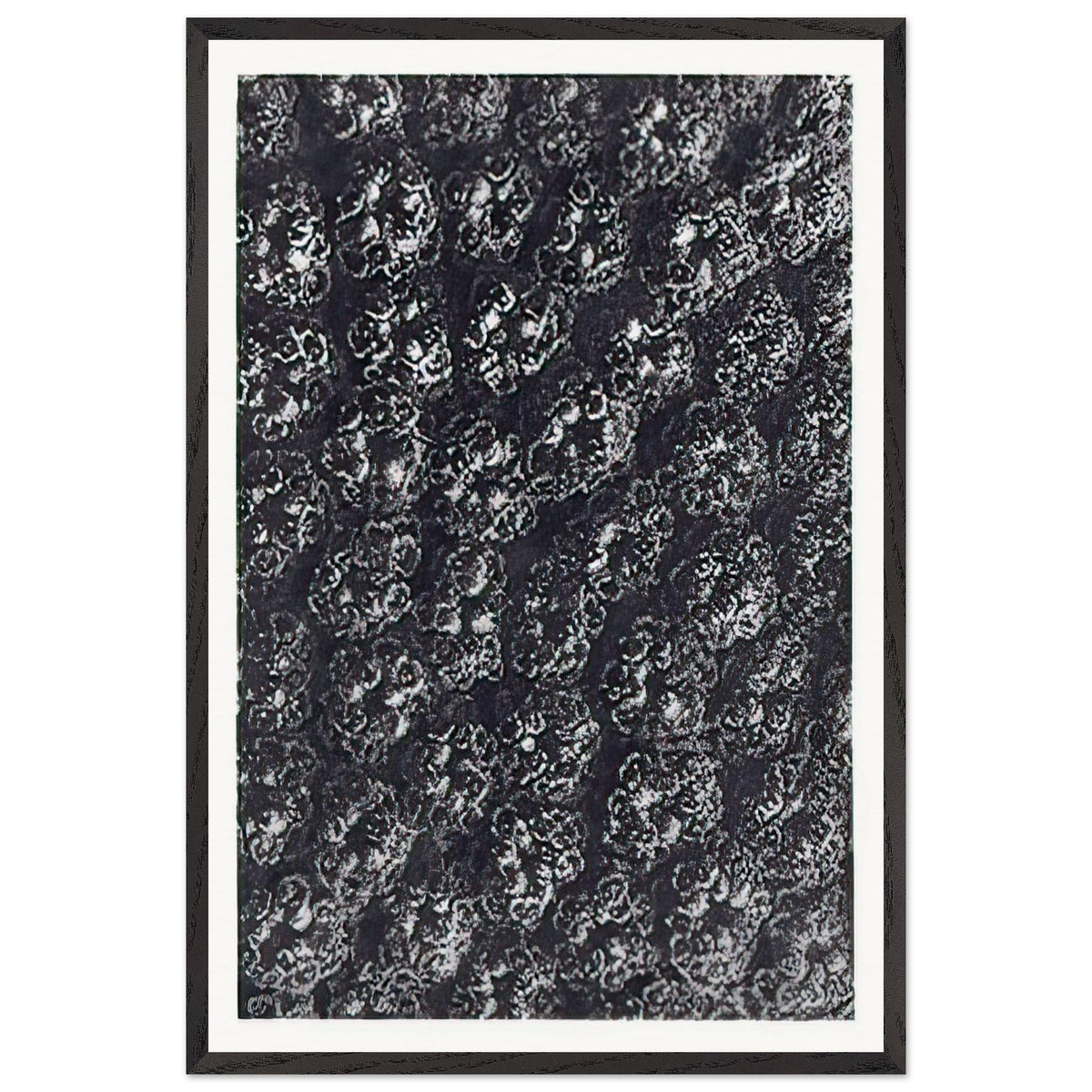 Art Forms in Nature 118 by Karl Blossfeldt, framed poster