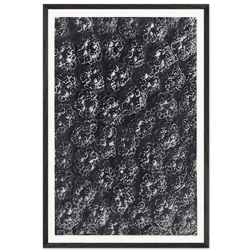 Art Forms in Nature 118 by Karl Blossfeldt, framed poster